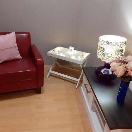 Schoene Und Ruhige Ferienwohnung In Ottendorf Sebnitz Extérieur photo