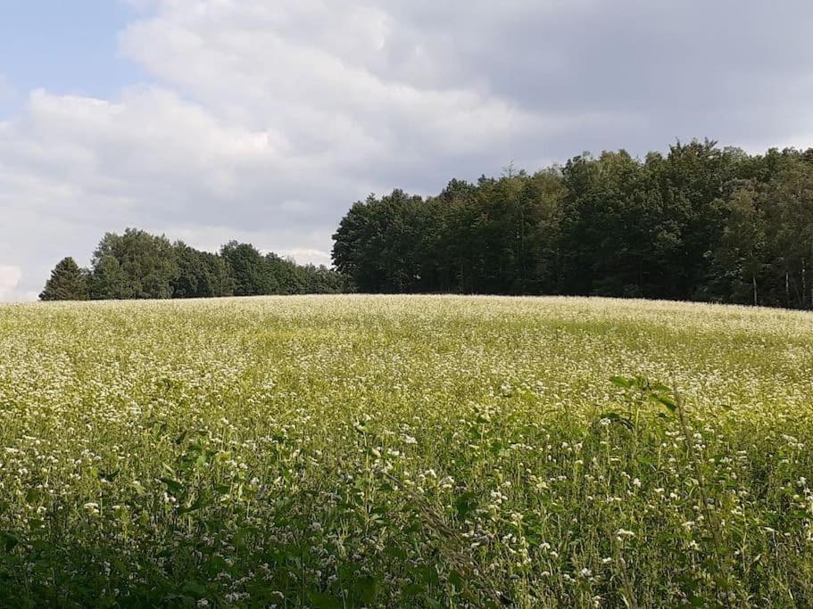 Schoene Und Ruhige Ferienwohnung In Ottendorf Sebnitz Extérieur photo
