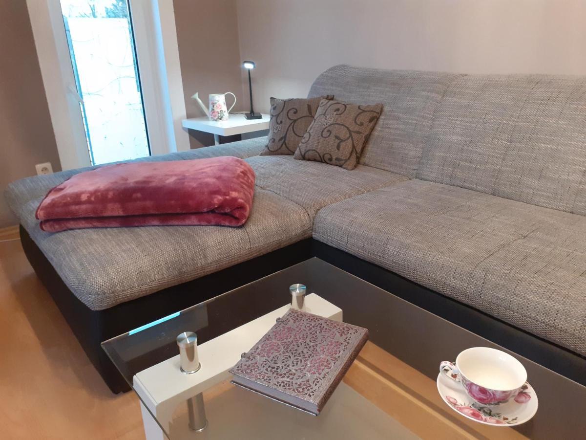 Schoene Und Ruhige Ferienwohnung In Ottendorf Sebnitz Extérieur photo